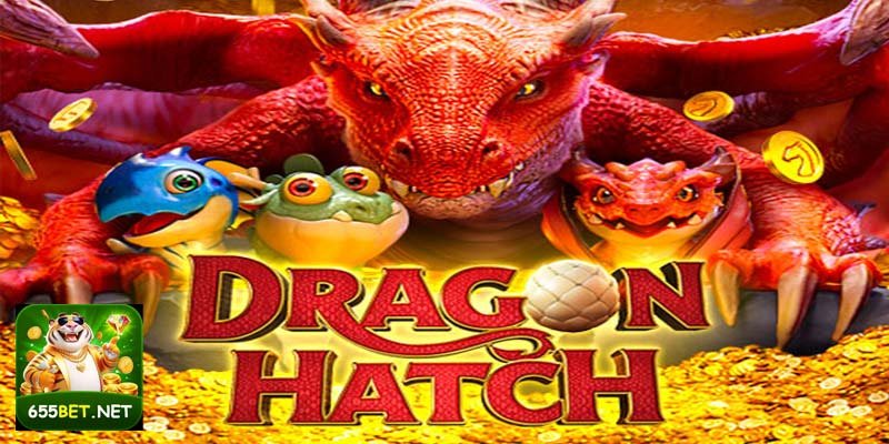 Dragon Hatch